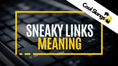 What is the meaning of Sneaky Links