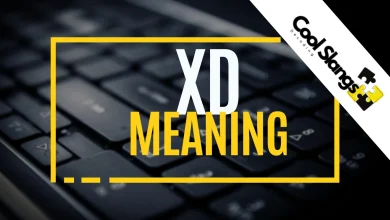 What does xD mean?