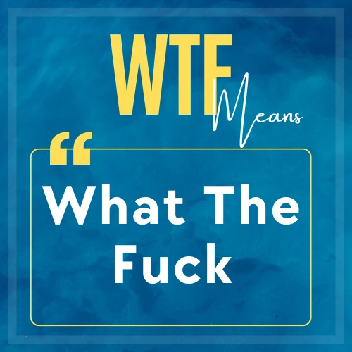 The meaning of WTF mentioned 