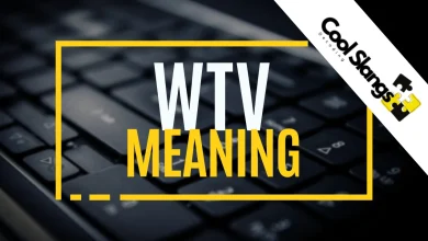 WTV meaning