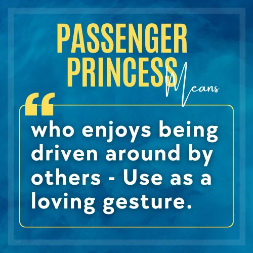 passenger-princess-meaning-cool-slangs