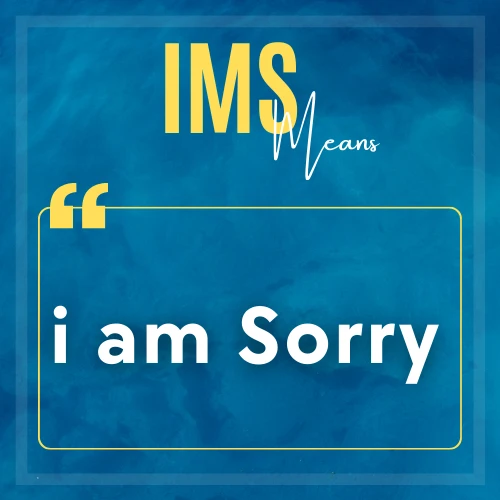 IMS meaning mentioned in a picture