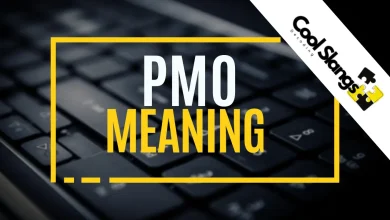 What does PMO mean?