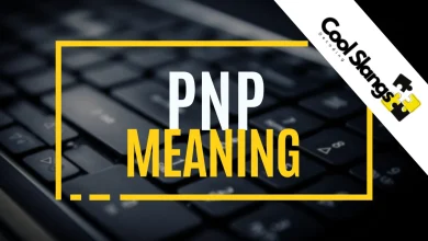 What does PNP mean?
