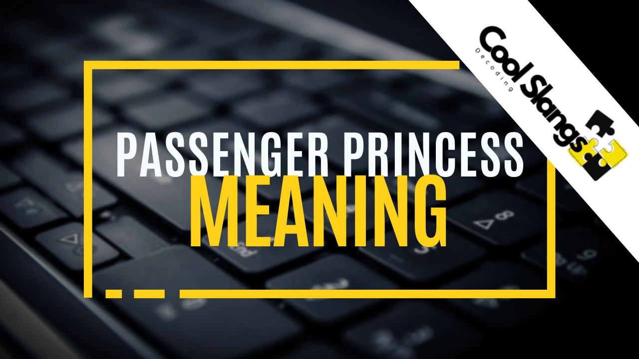 passenger-princess-meaning-cool-slangs