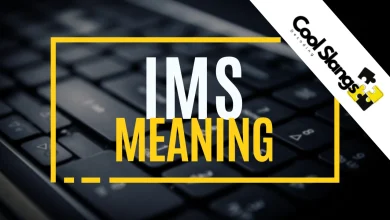 What is meaning of IMS
