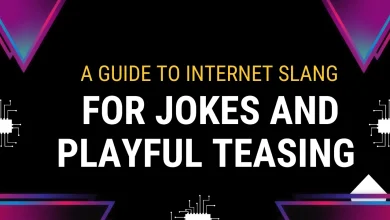 About Internet slangs those for playful teasing