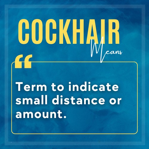 Meaning of Cockhair 