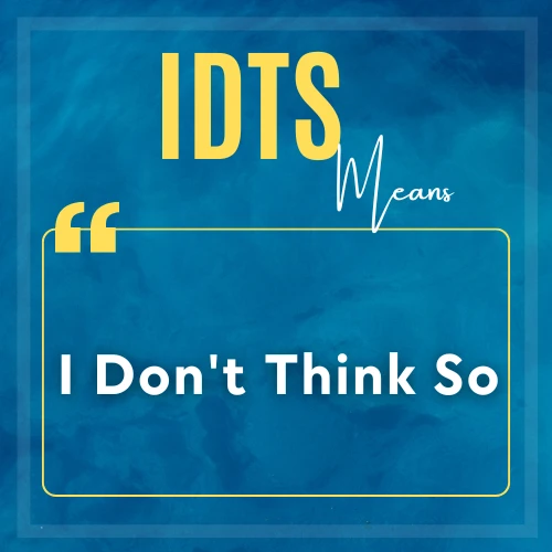 IDTS Meaning In Text Cool Slangs