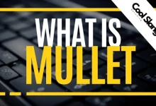 What is Mullet