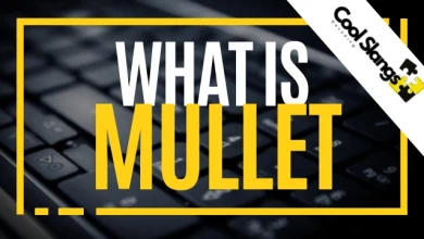 What is Mullet