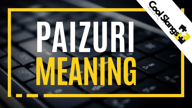 What is Paizuri?