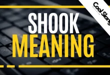 What Does Shook mean?
