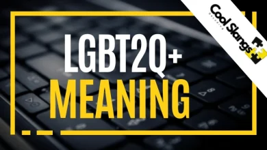 What is meaning of LGBT2Q+