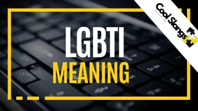 What is meaning of LGBTI