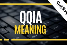 Meaning of QQIA