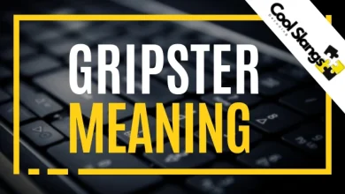 What is Gripster?