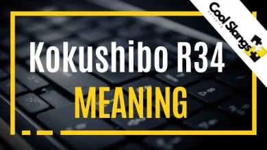 What is Kokushibo R34?