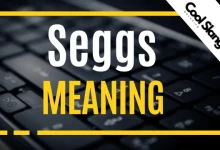 What is Seggs?