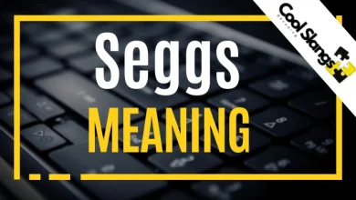 What is Seggs?