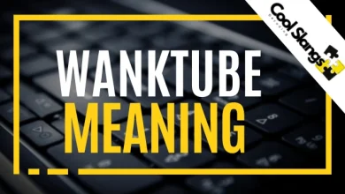 What is Wanktube?