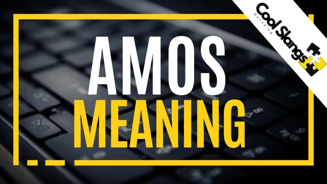 What is meaning of AMOS
