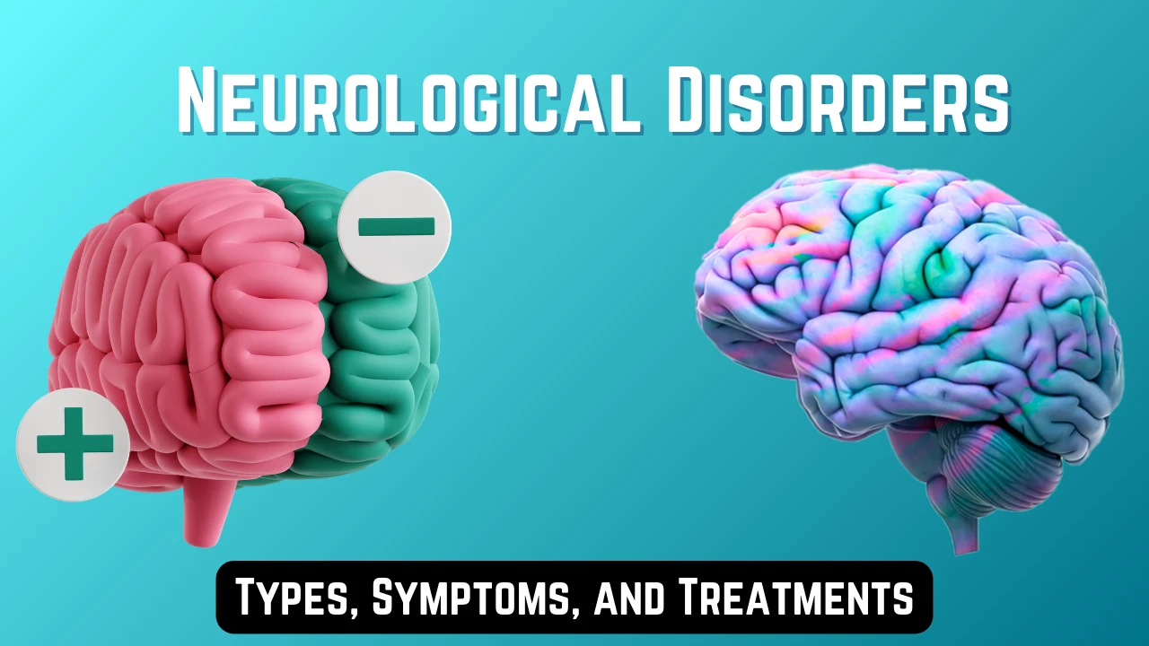 What are Neurological Disorders