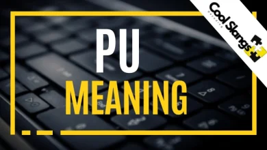 What does PU mean?