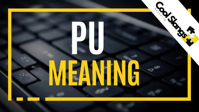 What does PU mean?