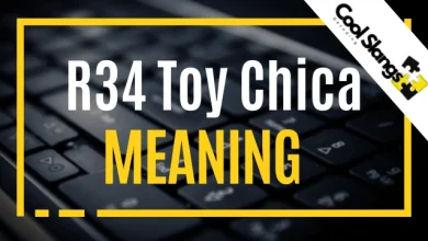 What is R34 Toy Chica