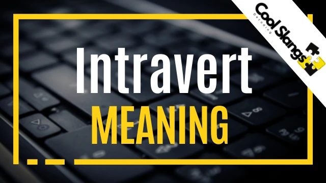 What is meaning of Intravert