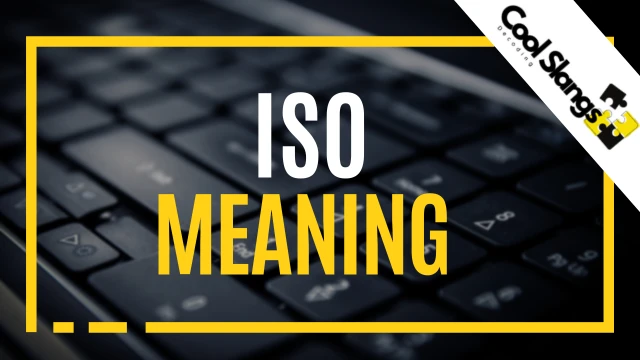 What does ISO mean?