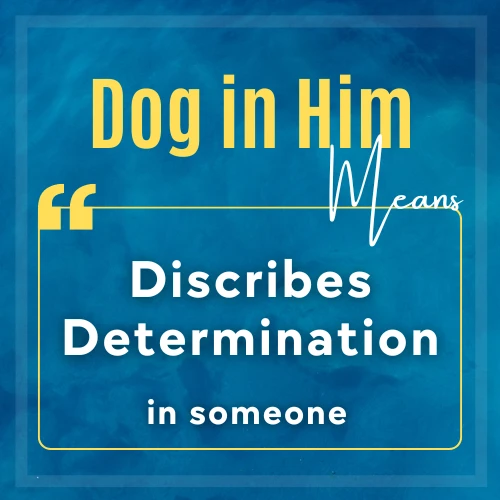 Meaning of slang "Dog in him" mentioned in the picture