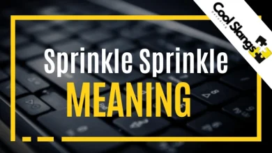 what does Sprinkle Sprinkle Mean?