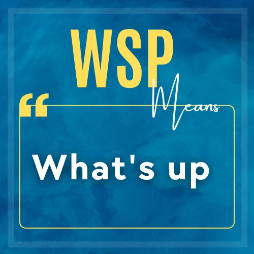 Meaning of acronym WSP