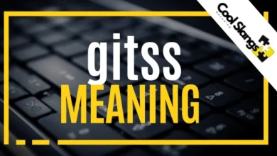 What does Gitss mean?