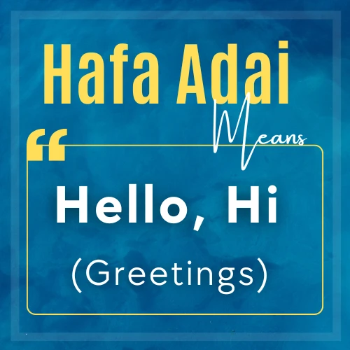 What is The Meaning of Håfa Adai? - Cool Slangs