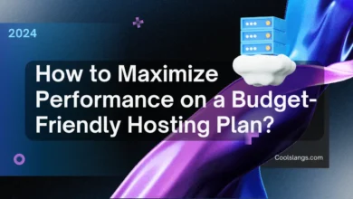 Maximize Performance on a Budget-Friendly Hosting Plan