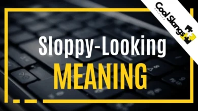 What is the meaning of sloppy-Looking?