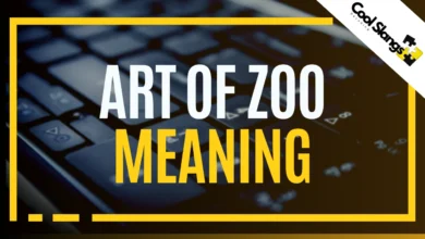 What does Art of Zoo mean?