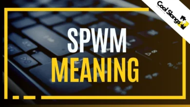 What does SPWM mean?