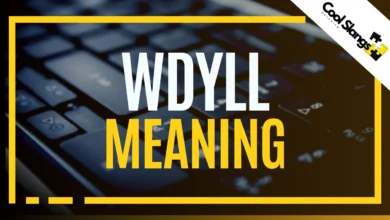 what does WDYLL mean?