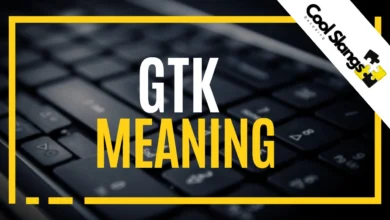 What is GTK?