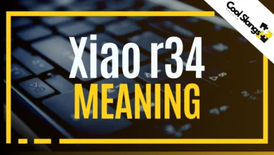 What is Xiao r34?