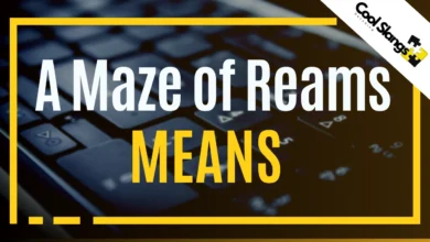 What does A Maze of Reams mean?