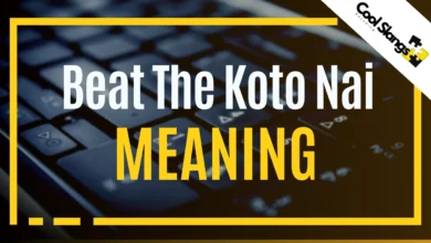 what does Beat The Koto Nai mean?