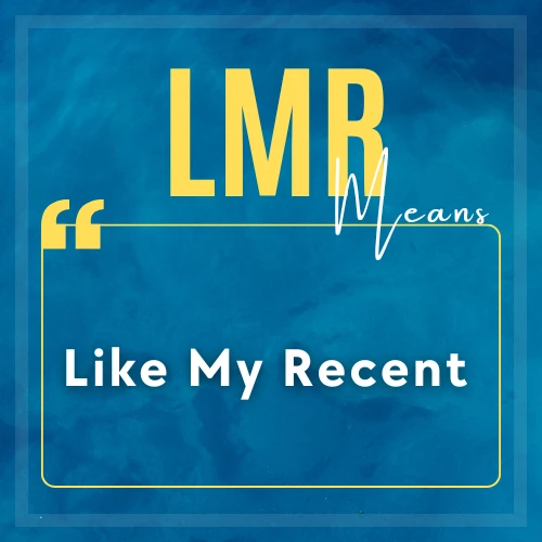 meaning of LMR 