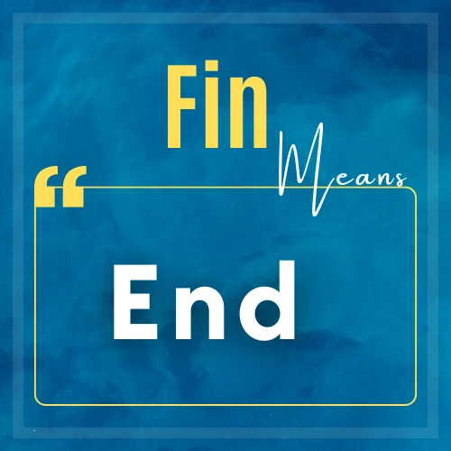 Fin meaning