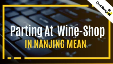 what does Parting at a Wine-Shop in Nanjing Mean