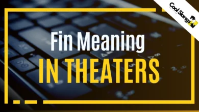 What is Fin Meaning in Theaters